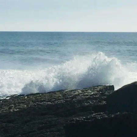 Alto Mar דירה פניש