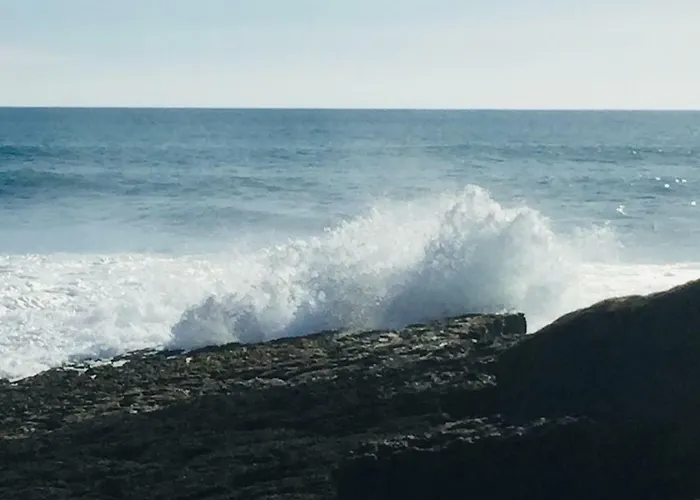 Alto Mar Daire Peniche